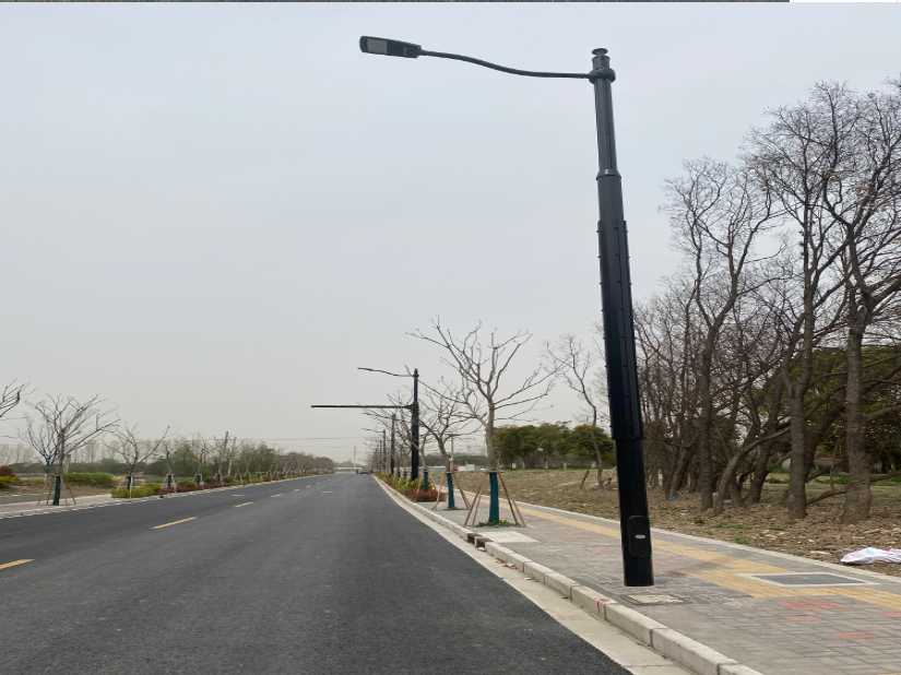 庐江县上海综合杆 太阳能路灯工程
